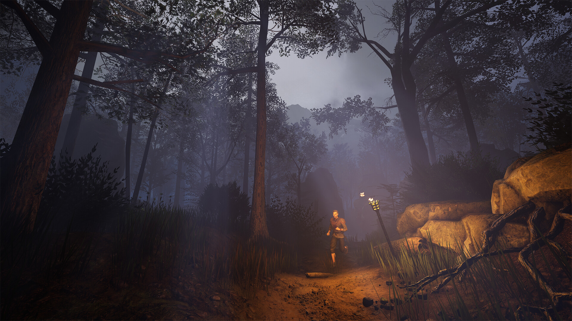 《灰雨钢锋/Of Ash and Steel》RUNE中文版：融合经典魂系战斗与开放世界探索的史诗级第三人称RPG巨作