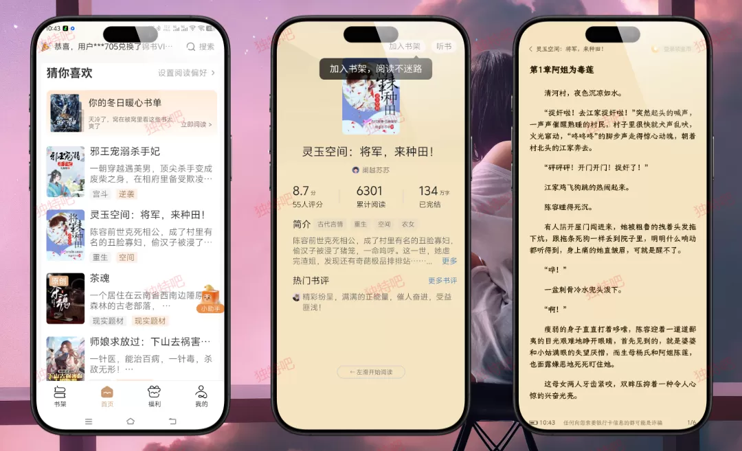 锦书 v3.2.5 高级版｜免费小说阅读神器 · 男频女频全覆盖 · 总裁赘婿爽文 · 无广告离线畅读 · 解锁全部高级功能