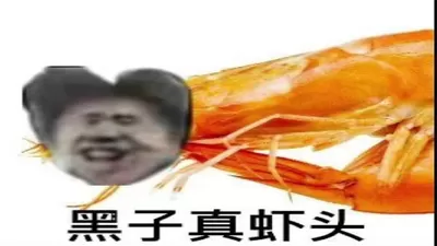 《你的小坤坤 / Evolve or Die》Build.20984667 官方简体中文版：抽象文化爆笑动作Roguelike！12种魔性法术召唤“鸡你太美”“雨姐大脚”“Manba Out肘击”，2.9GB高能沙雕体验即刻开启！