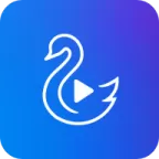 天鹅视频4.3.3纯净版：全网高清影视零广告，智能搜索极速播放，您的掌上私人影院