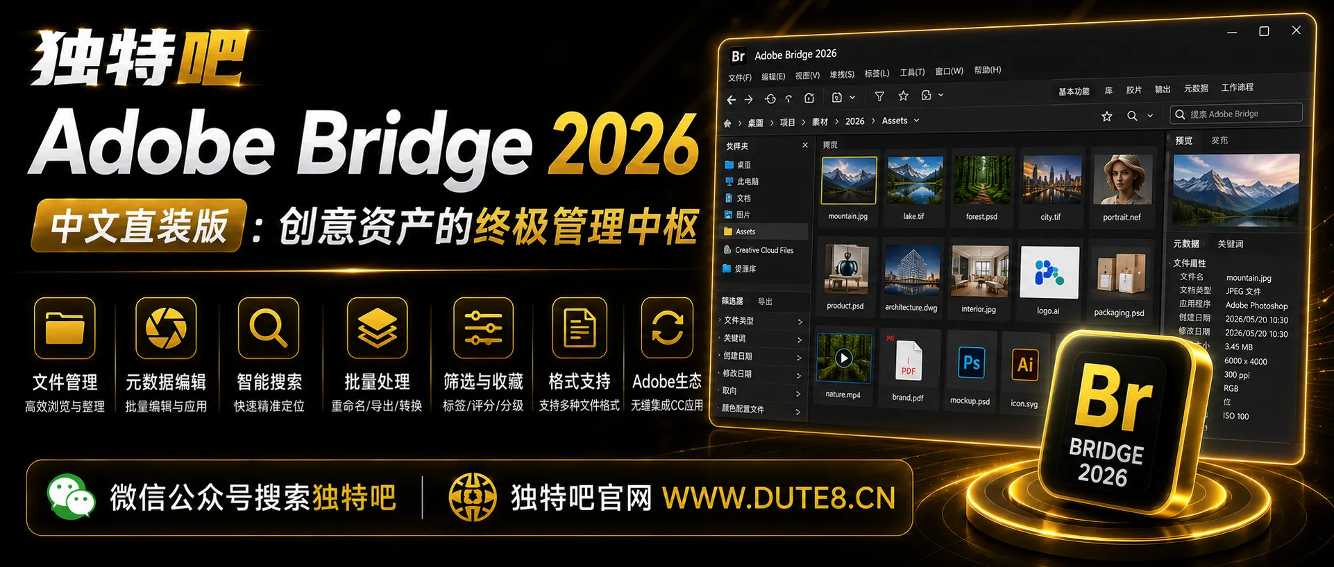 Adobe Bridge 2026 v16.0.6.9 中文直装版：创意资产的终极管理中枢