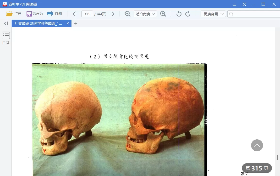 四叶草PDF阅读器 v1.5.0.0 中文绿色版下载 | 无广告免费轻量PDF工具，支持书签/搜索/导出/打印