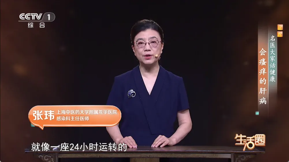 DongYuTVWeb v2.0.1 电视直播：开源免费无广告，央视卫视地方台一网打尽
