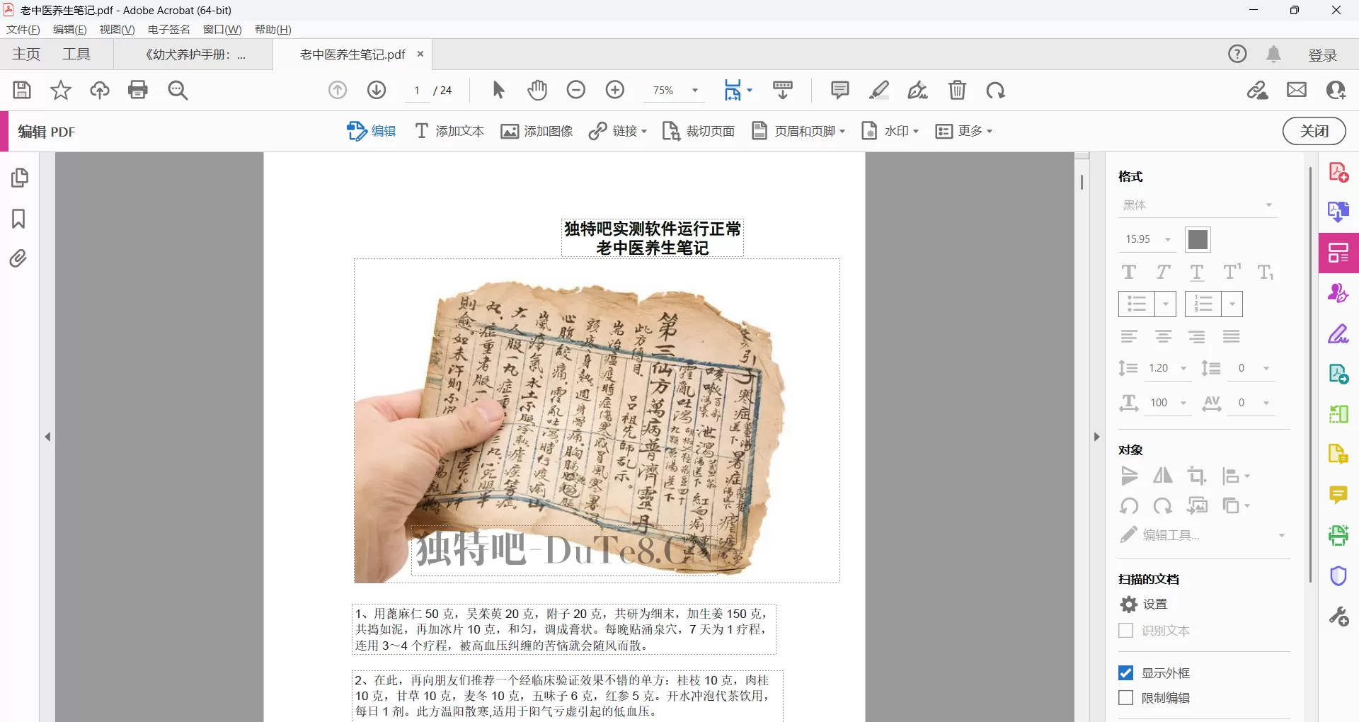 Adobe Acrobat Pro DC 2025 破解版下载（32位 & 64位 + 便携版）｜全功能免激活中文绿色版