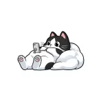 咸鱼视频 V4.0.4 纯净版：全网影视聚合神器，离线下载告别剧荒新体验