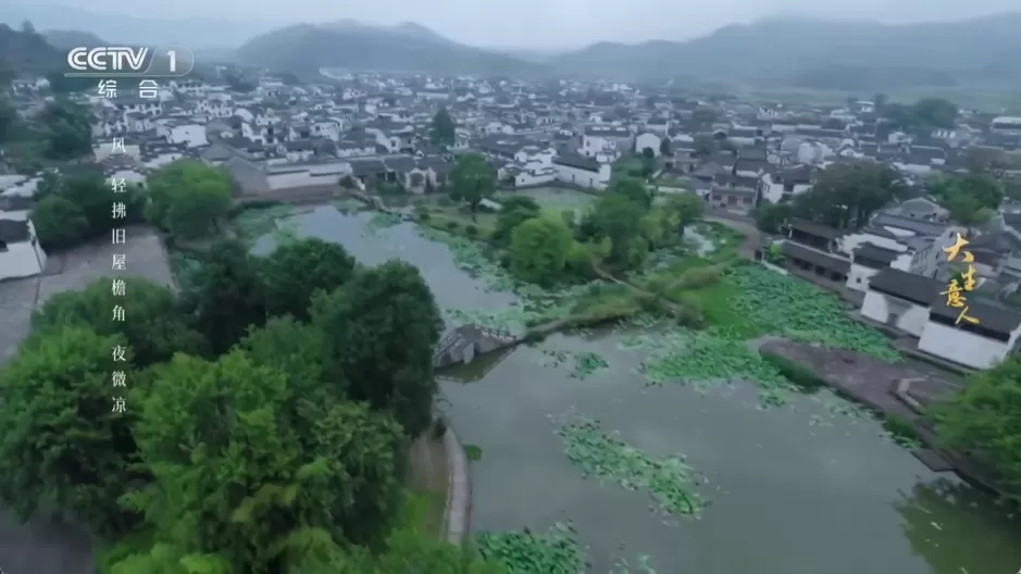 乘风TV v1.0.3 官方纯净版：全网高清直播聚合与节目