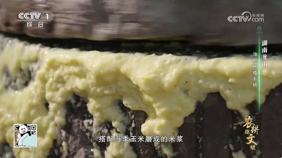 DongYuTV 东宇网页电视直播 v1.0.10：怀旧闭路电视体验，老人首选的免费高清直播神器