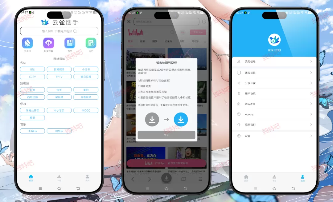 视频下载鸟 v18.56 高级版下载 | 全网视频嗅探神器 | 支持B站抖音快手小红书TikTok 无水印高清下载