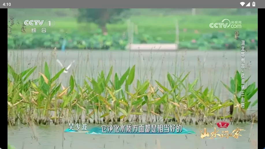 电视浏览器 v1.8.0：专为智能电视与机顶盒打造的轻量级网页视频播放神器