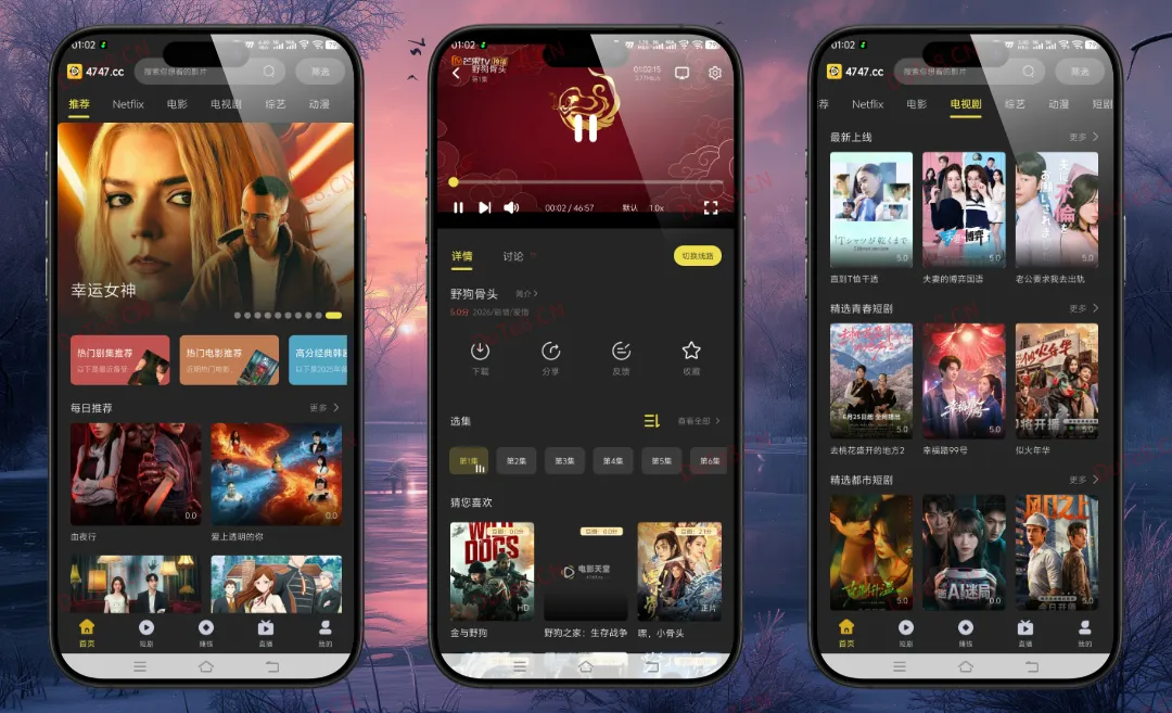 电影天堂 v2.1.2 去广告纯净版：海量影视免费看，打造你的随身私人影院