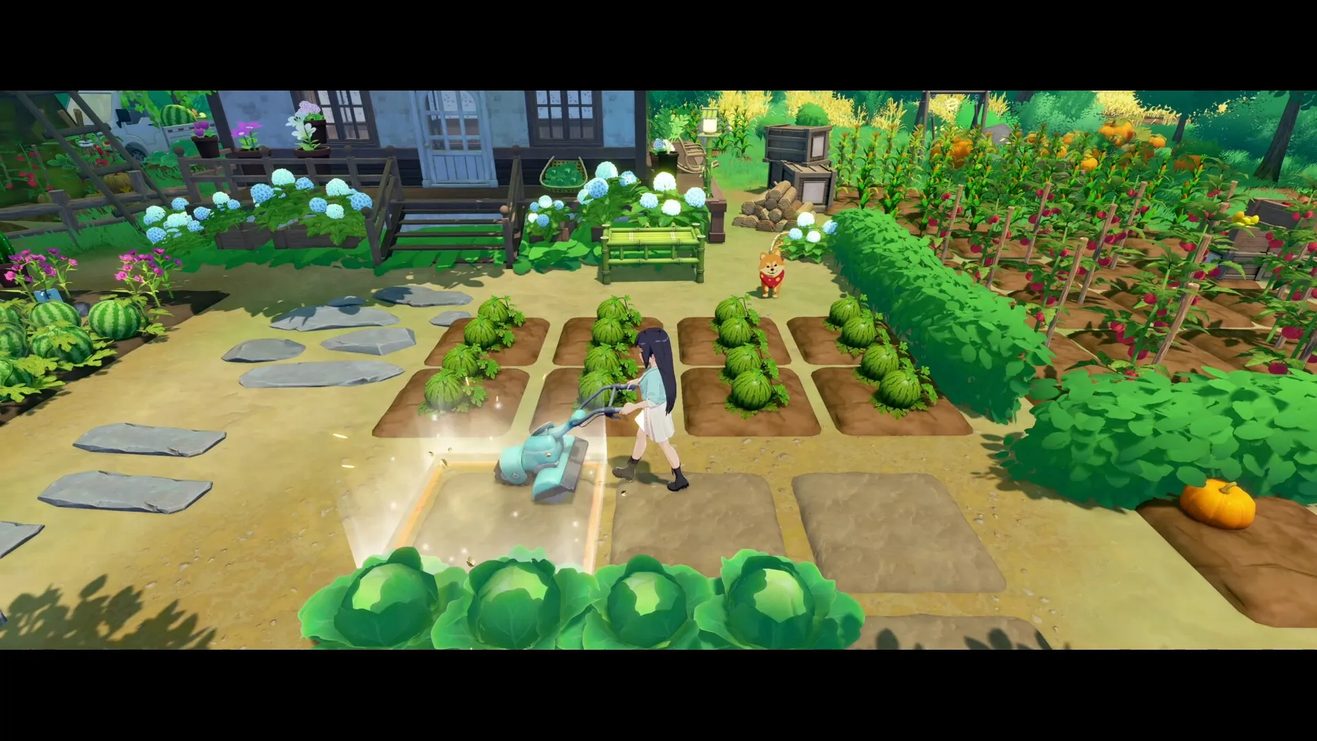 星砂岛 Star Sand Island v1.0.0.9039 中文免安装版：在迷雾环绕的孤岛上，谱写你的海岛田园牧歌